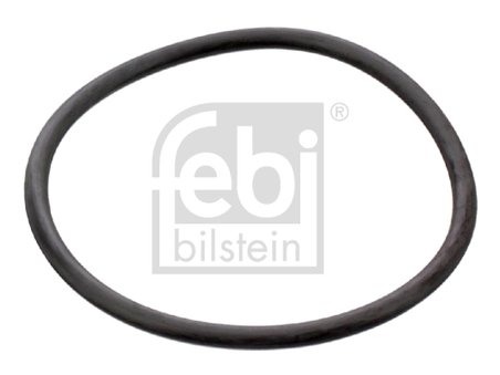 Garnitura termostat Febi Bilstein 17964