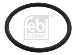 Garnitura termostat Febi Bilstein 17966