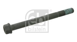 SURUB CHIULASA FEBI BILSTEIN 18476 - Compatibil cu DAF