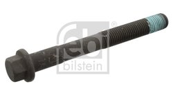 SURUB CHIULASA FEBI BILSTEIN 18477 - Compatibil cu DAF