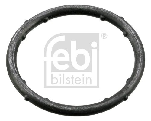 Garnitura, flansa lichid racire Febi Bilstein 18766