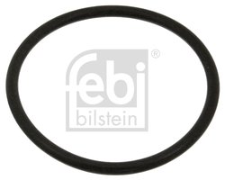Garnitura, flansa lichid racire Febi Bilstein 18774
