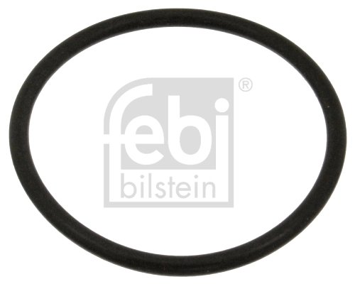 Garnitura, flansa lichid racire Febi Bilstein 18774