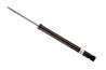 Amortizor Bilstein 19-241876