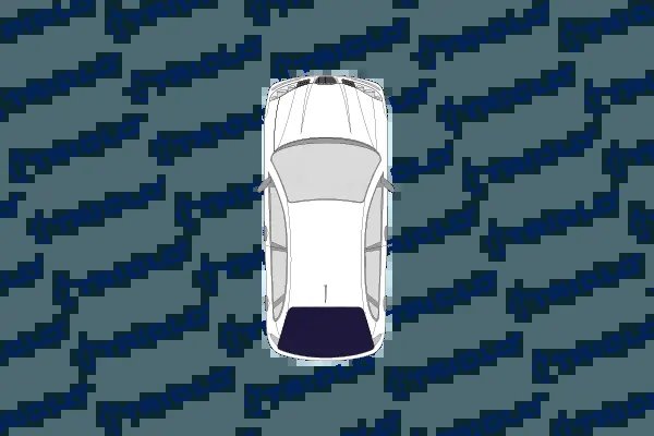 DIUZA SPALARE PARBRIZ TRICLO 190064 - Compatibil cu DACIA, RENAULT