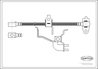 FURTUN FRANA CORTECO 19032982 - Compatibil cu FORD