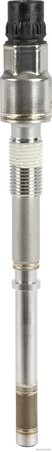 Bujie incandescenta Herth+Buss Elparts 19571039