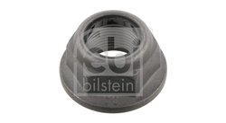 PIULITA, FUZETA FEBI BILSTEIN 19893 - Compatibil cu DACIA, NISSAN, RENAULT