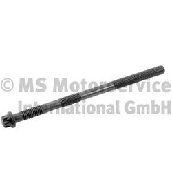 SURUB CHIULASA BF 20080228769 - Compatibil cu AYATS, ERF, KING LONG, MAN, MAZ, MAZ-MAN, NEOPLAN, VAN HOOL