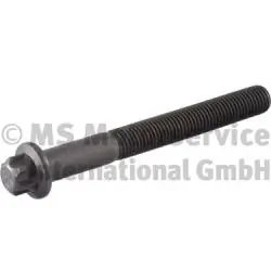 SURUB CHIULASA BF 20080520138 - Compatibil cu BREDAMENARINIBUS, DEUTZ-FAHR, OTOKAR, RENAULT TRUCKS