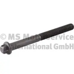 SURUB CHIULASA BF 20080520139 - Compatibil cu BREDAMENARINIBUS, DENNIS, DEUTZ-FAHR, OTOKAR, RENAULT TRUCKS, VOLVO