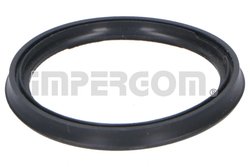 INEL ETANSARE, FURTUN AER SUPRAALIMENTARE IMPERGOM 20289 - Compatibil cu DACIA, RENAULT