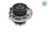 POMPA DE APA MEYLE 213 220 0001 - Compatibil cu FIAT, LANCIA
