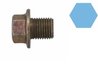 SURUB DE GOLIRE LA BAIE ULEI CORTECO 220122S - Compatibil cu BMW, DACIA, DAIHATSU, FORD, INFINITI, LEXUS, LOTUS, METROCAB, MINI,