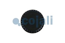 AMORTIZOR SUNET, SISTEM COMPRESOR COJALI 2203109 - Piesa auto compatibila cu mai multe marci