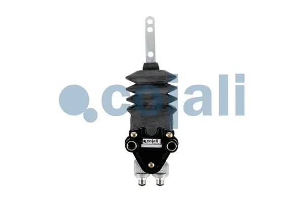 SUPAPA PERNA AER COJALI 2214505 - Piesa auto compatibila cu mai multe marci