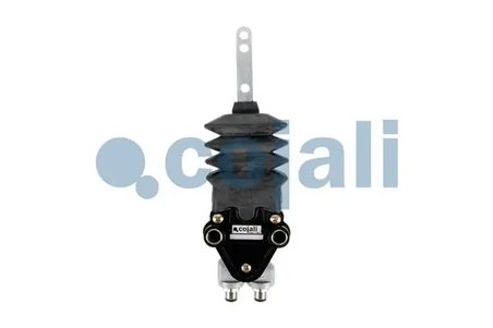 SUPAPA PERNA AER COJALI 2214505 - Piesa auto compatibila cu mai multe marci