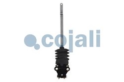 Supapa perna aer Cojali 2214518