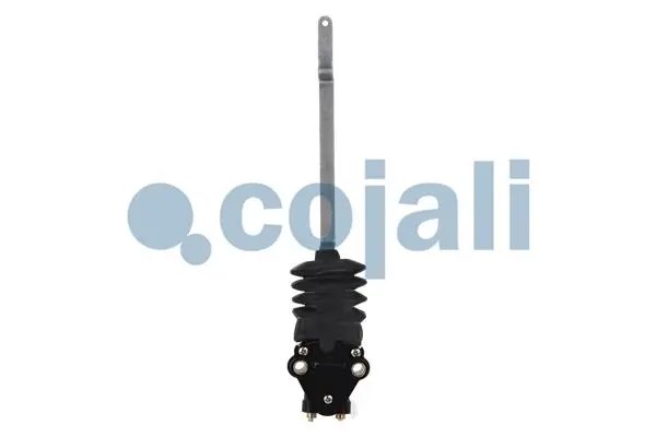 SUPAPA PERNA AER COJALI 2214518 - Piesa auto compatibila cu mai multe marci