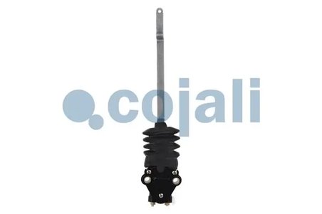 SUPAPA PERNA AER COJALI 2214518 - Piesa auto compatibila cu mai multe marci