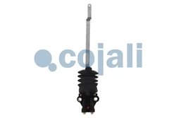 SUPAPA PERNA AER COJALI 2214518 - Piesa auto compatibila cu mai multe marci