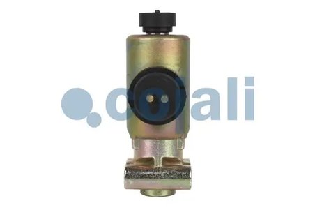 SUPAPA MAGNETICA COJALI 2218205 - Piesa auto compatibila cu mai multe marci