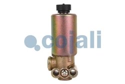 Supapa magnetica Cojali 2218210