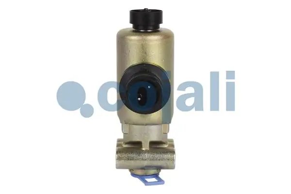 SUPAPA MAGNETICA COJALI 2218214 - Piesa auto compatibila cu mai multe marci