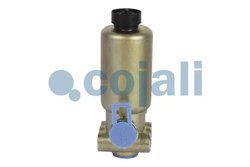 SUPAPA MAGNETICA COJALI 2218214 - Piesa auto compatibila cu mai multe marci