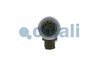 Supapa magnetica Cojali 2218219