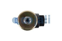 SUPAPA MAGNETICA COJALI 2218221 - Piesa auto compatibila cu mai multe marci