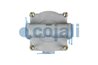 supapa de protectie supraincarcare Cojali 2219104