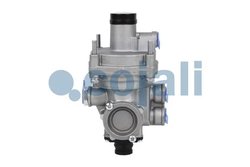 Releu, ALB Cojali 2220312