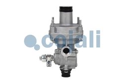 Releu, ALB Cojali 2220320