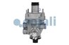 Releu, ALB Cojali 2220330