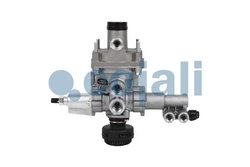 Releu, ALB Cojali 2220459