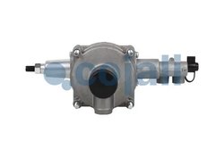 Releu, ALB Cojali 2220459