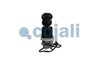 Supap frana de mana Cojali 2224537
