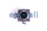 Supapa control remorca Cojali 2230121