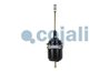 CILINDRU DE FRANA PRETENSIONAT CU ARC COJALI 2251400 - Compatibil cu SCANIA