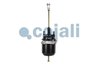 CILINDRU DE FRANA PRETENSIONAT CU ARC COJALI 2251400 - Compatibil cu SCANIA