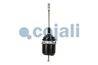 CILINDRU DE FRANA PRETENSIONAT CU ARC COJALI 2251400 - Compatibil cu SCANIA