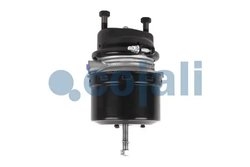 CILINDRU DE FRANA PRETENSIONAT CU ARC COJALI 2251516 - Piesa auto compatibila cu mai multe marci