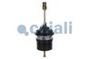 Cilindru de frana pretensionat cu arc Cojali 2251525