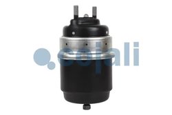 Cilindru de frana pretensionat cu arc Cojali 2251709