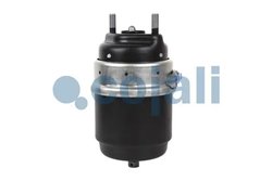Cilindru de frana pretensionat cu arc Cojali 2251709