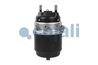 Cilindru de frana pretensionat cu arc Cojali 2251709