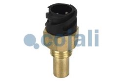 Senzor Cojali 2260214