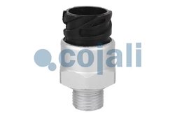 Senzor Cojali 2260269