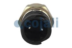 COMUTATOR, LAMPA FRANA COJALI 2260365 - Piesa auto compatibila cu mai multe marci